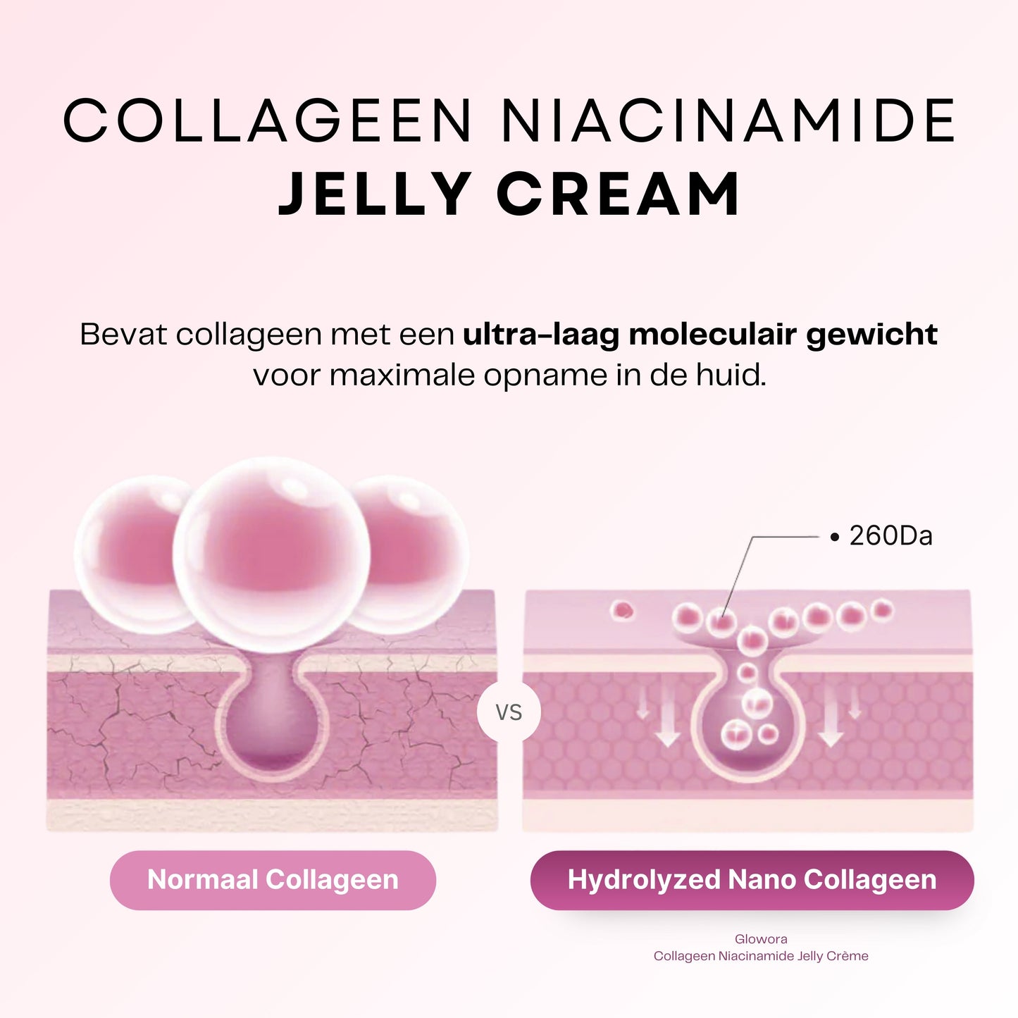 Collageen + Niacinamide Jelly Crème